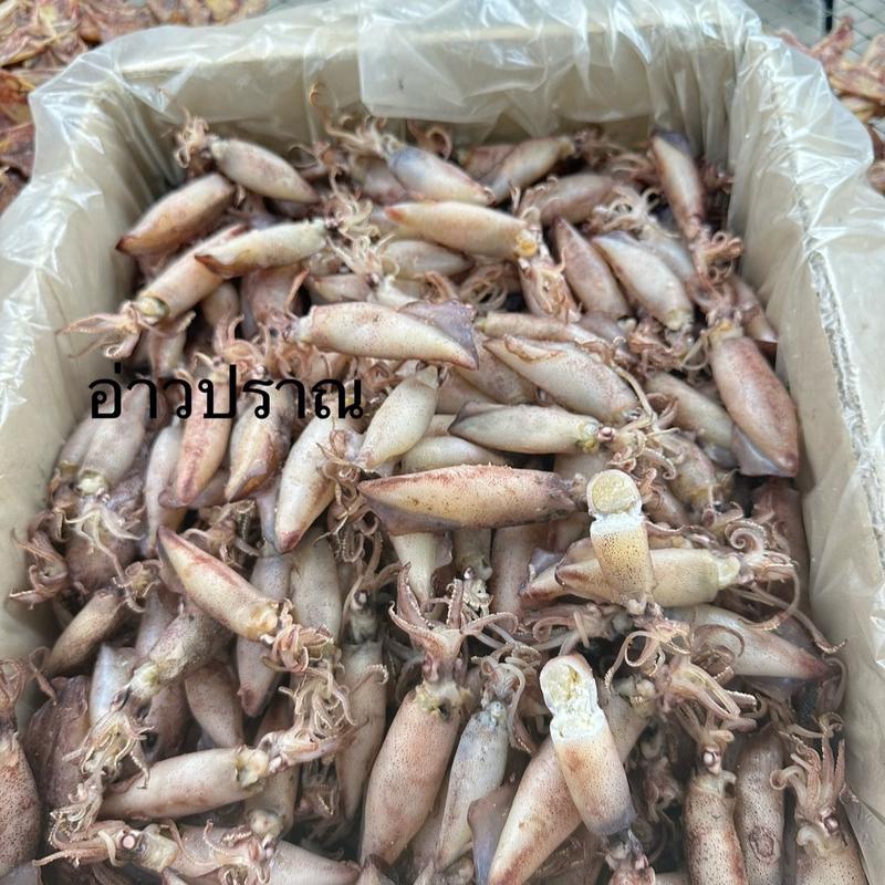 product-image.png